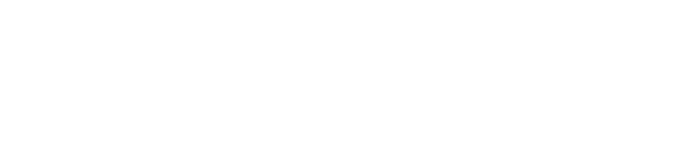 Maxtrixis